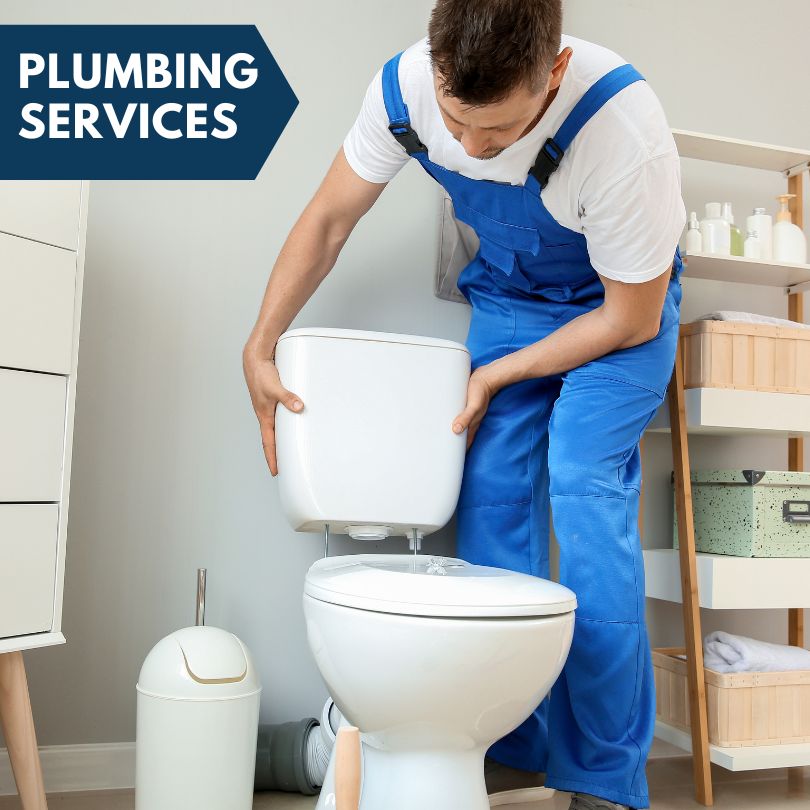Plumbing Company in Taylor Springs, IL